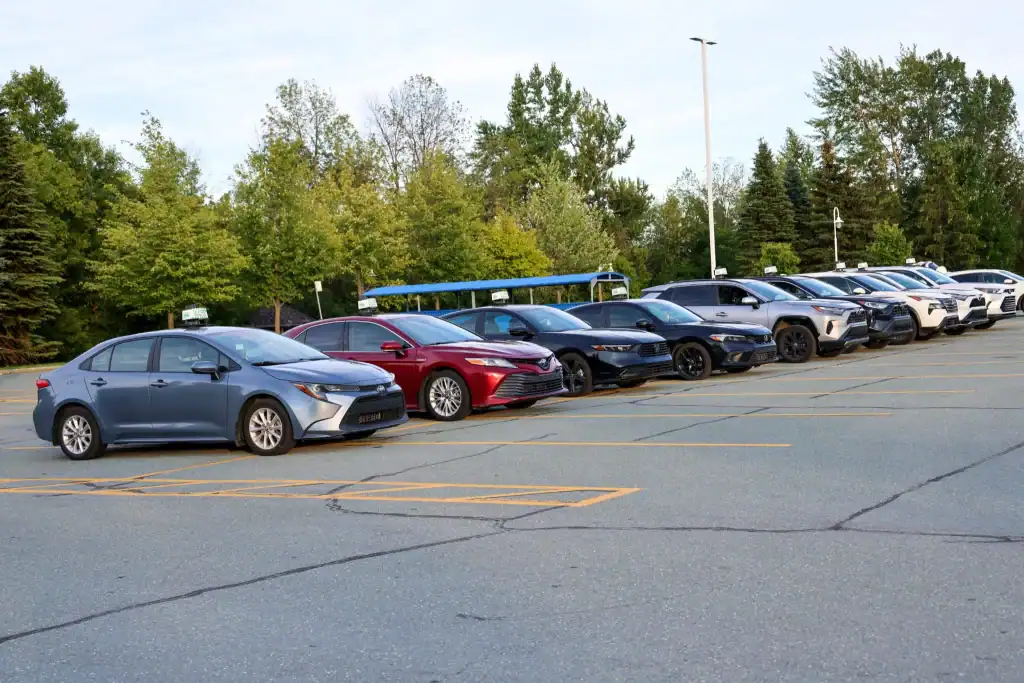 whatsapp image 2025 08 30 at 5.08.32 pm